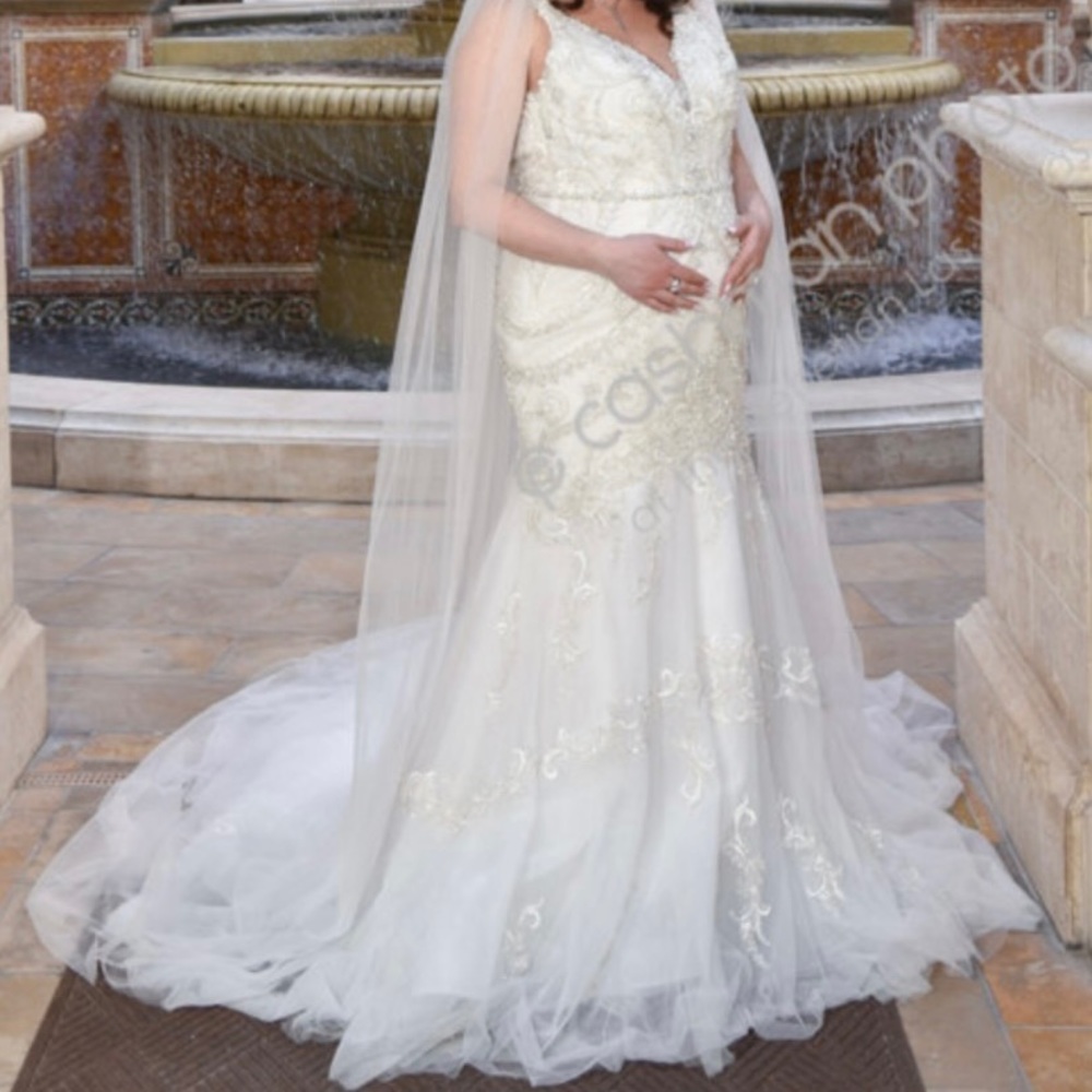 Maggie Sottero Judson Wedding Dress - Picture 6 of 6